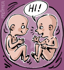 Bauch
