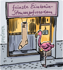 Einbein