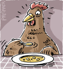 Huehnersuppe