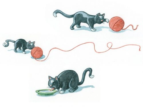 Katze