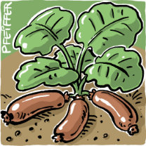 Kindermund 113 Wurst