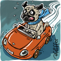 Kindermund 7 bloederHund