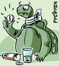 Schildkroete-mit-Halsweh