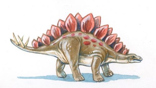 Stegosaurus