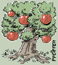 Tomatenbaum
