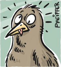 Vogel